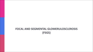 FOCAL AND SEGMENTAL GLOMERULOSCLEROSIS
(FSGS)
 