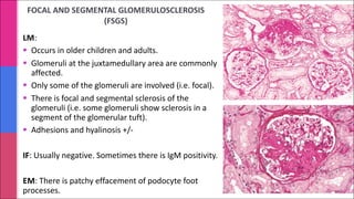 FOCAL AND SEGMENTAL GLOMERULOSCLEROSIS
(FSGS)
LM:
§ Occurs in older children and adults.
§ Glomeruli at the juxtamedullary area are commonly
affected.
§ Only some of the glomeruli are involved (i.e. focal).
§ There is focal and segmental sclerosis of the
glomeruli (i.e. some glomeruli show sclerosis in a
segment of the glomerular tuft).
§ Adhesions and hyalinosis +/-
IF: Usually negative. Sometimes there is IgM positivity.
EM: There is patchy effacement of podocyte foot
processes.
 