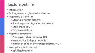 Lecture outline
§ Introduction
§ Pathogenesis of glomerular disease
§ Nephrotic Syndrome
§ Minimal change disease
§ Focal segmental glomerulosclerosis
§ Membranous GN
§ Diabetes mellitus
§ Nephritic Syndrome
§ Acute post-streptococcal GN
§ Introduction to lupus nephritis
§ Introduction to membranoproliferative GN
§ Asymptomatic hematuria
§ IgA Nephropathy
 