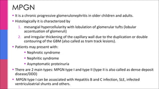 MPGN
§ It is a chronic progressive glomerulonephritis in older children and adults.
§ Histologically it is characterized by
1. mesangial hypercellularity with lobulation of glomerular tufts (lobular
accentuation of glomeruli)
2. and irregular thickening of the capillary wall due to the duplication or double
contouring of the GBM (also called as tram track lesions).
§ Patients may present with:
§ Nephrotic syndrome
§ Nephritic syndrome
§ Asymptomatic proteinuria
§ There are 2 main types: MPGN type I and type II (type II is also called as dense deposit
disease/DDD)
§ MPGN type I can be associated with Hepatitis B and C infection, SLE, infected
ventriculoatrial shunts and others.
 