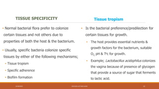 Predilection Example Microbiology Nursing L4_Normal flora.pdf