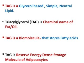 L4 Simple Lipid-TAG aiims Rishikesh 2024.pptx