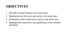OBJECTIVES
1. Describe external features of the brain stem
2. Identification of the tracts and nuclei in the brain stem.
3. Orientation of the cranial nerve nuclei in the brain stem.
4. Highlight the connections and significance of the reticular
formation.
 