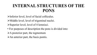 INTERNAL STRUCTURES OF THE
PONS
Inferior level, level of facial colliculus.
Middle level, level of trigeminal nuclei.
Superior level, level of 4 lemnisci.
• For purposes of description the pons is divided into:
A posterior part, the tegmentum
An anterior part, the basis pontis.
 