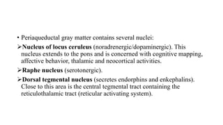 • Periaqueductal gray matter contains several nuclei:
Nucleus of locus ceruleus (noradrenergic/dopaminergic). This
nucleus extends to the pons and is concerned with cognitive mapping,
affective behavior, thalamic and neocortical activities.
Raphe nucleus (serotonergic).
Dorsal tegmental nucleus (secretes endorphins and enkephalins).
Close to this area is the central tegmental tract containing the
reticulothalamic tract (reticular activating system).
 