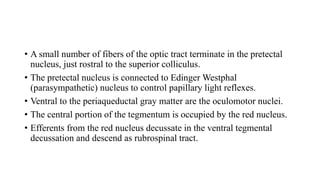 • A small number of fibers of the optic tract terminate in the pretectal
nucleus, just rostral to the superior colliculus.
• The pretectal nucleus is connected to Edinger Westphal
(parasympathetic) nucleus to control papillary light reflexes.
• Ventral to the periaqueductal gray matter are the oculomotor nuclei.
• The central portion of the tegmentum is occupied by the red nucleus.
• Efferents from the red nucleus decussate in the ventral tegmental
decussation and descend as rubrospinal tract.
 