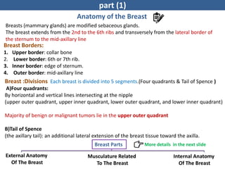 L5-Breast Dishgdgbbbhfrfhjjhyggeases.pdf