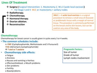 L5-Breast Dishgdgbbbhfrfhjjhyggeases.pdf