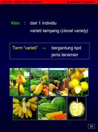 AGR 3506  :  PRINSIP SAINS TANAMAN   1.  Morfologi dan Pengkelasan 05 Klon :  dari 1 individu   varieti tampang ( clonal variety)  Term  “ varieti ”      bergantung kpd   jenis tanaman   