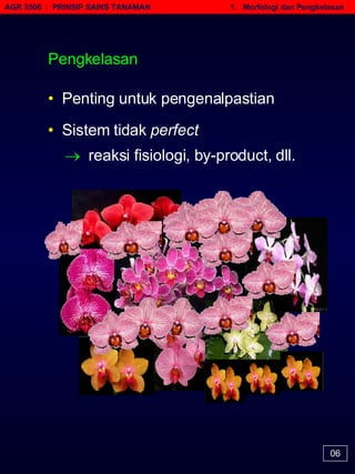 AGR 3506  :  PRINSIP SAINS TANAMAN   1.  Morfologi dan Pengkelasan 06 Pengkelasan •   Penting untuk pengenalpastian •   Sistem tidak  perfect    reaksi fisiologi, by-product, dll. 