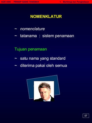 • AGR 3506  :  PRINSIP SAINS TANAMAN   1.  Morfologi dan Pengkelasan NOMENKLATUR Tujuan penamaan ~  satu nama yang standard ~  nomenclature ~  tatanama  :  sistem penamaan ~  diterima pakai oleh semua 07 