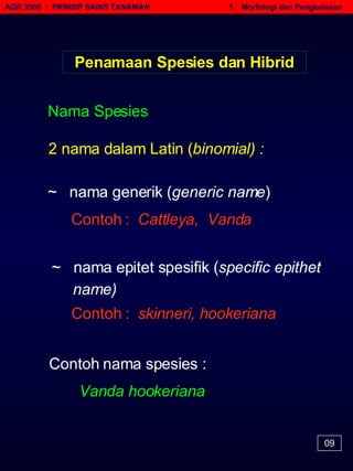 AGR 3506  :  PRINSIP SAINS TANAMAN   1.  Morfologi dan Pengkelasan Penamaan Spesies dan Hibrid Contoh :  Cattleya,  Vanda 2 nama dalam Latin ( binomial) : ~  nama epitet spesifik ( specific epithet  name) Nama Spesies ~  nama generik ( generic name ) Contoh :  skinneri, hookeriana Contoh nama spesies :  Vanda hookeriana 09 