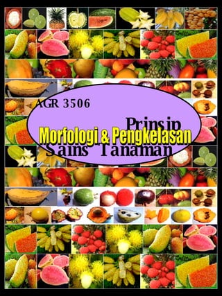 AGR 3506   Prinsip Sains Tanaman   Morfologi & Pengkelasan 
