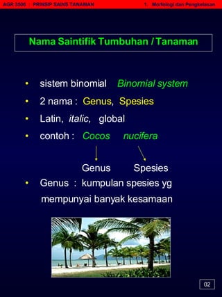 AGR 3506  :  PRINSIP SAINS TANAMAN   1.  Morfologi dan Pengkelasan 02 Nama Saintifik Tumbuhan / Tanaman •   sistem binomial  Binomial system   •   Latin,  italic,  global •   2 nama :  Genus ,  Spesies •   contoh :  Cocos  nucifera Genus  Spesies •   Genus  :  kumpulan spesies yg  mempunyai banyak kesamaan  
