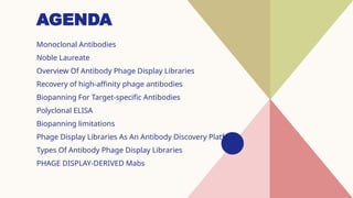 Recovery Display Library Phage Display Systems and its applications in immunotherapy | PPTX