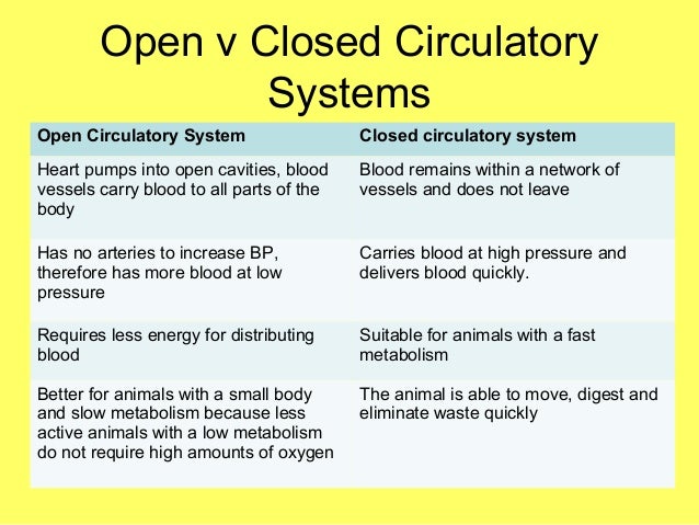 l5-circulatory-systems