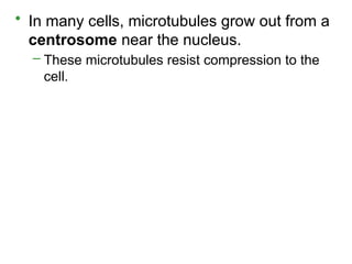 • In many cells, microtubules grow out from a
centrosome near the nucleus.
– These microtubules resist compression to the
cell.
 