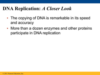 L5 DNA structure and replication.pptx