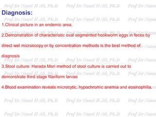 Diagnosis:
1.Clinical picture in an endemic area.
2.Demonstration of characteristic oval segmented hookworm eggs in feces by
direct wet microscopy or by concentration methods is the best method of
diagnosis
3.Stool culture: Harada Mori method of stool culture is carried out to
demonstrate third stage filariform larvae
4.Blood examination reveals microcytic, hypochromic anemia and eosinophilia.
 