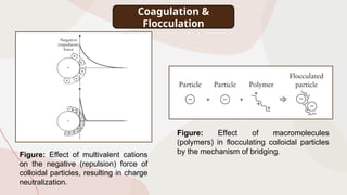 Figure: Effect of multivalent cations
on the negative (repulsion) force of
colloidal particles, resulting in charge
neutralization.
Figure: Effect of macromolecules
(polymers) in flocculating colloidal particles
by the mechanism of bridging.
Coagulation &
Flocculation
 
