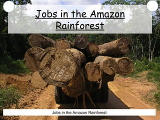 Jobs in the Amazon
Rainforest
Jobs in the Amazon Rainforest
 