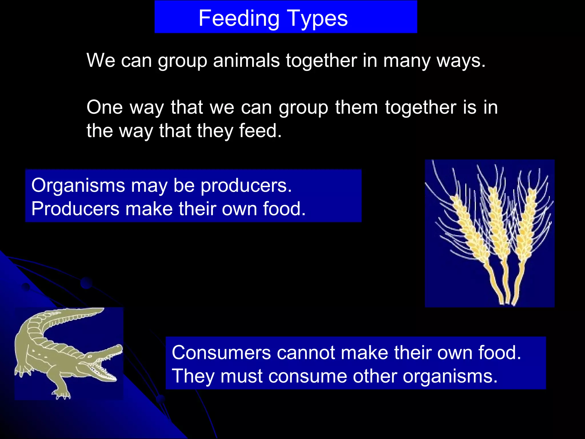 Feeding Types
We can group animals together in many ways.
One way that we can group them together is in
the way that they feed.
Consumers cannot make their own food.
They must consume other organisms.
Organisms may be producers.
Producers make their own food.
 