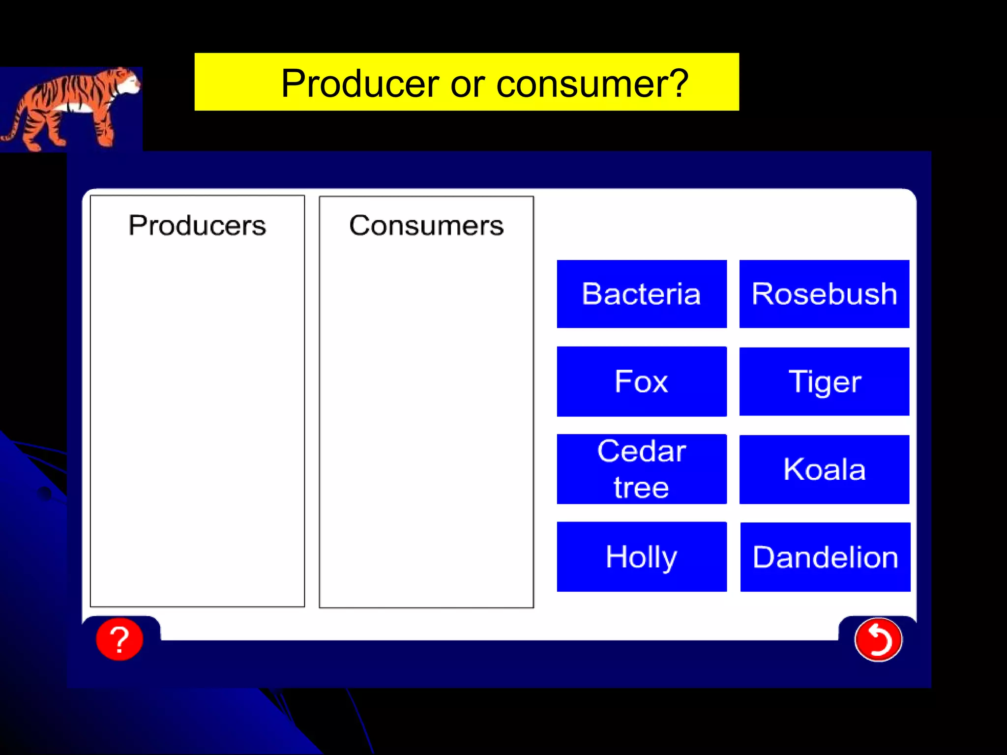 Producer or consumer?
 