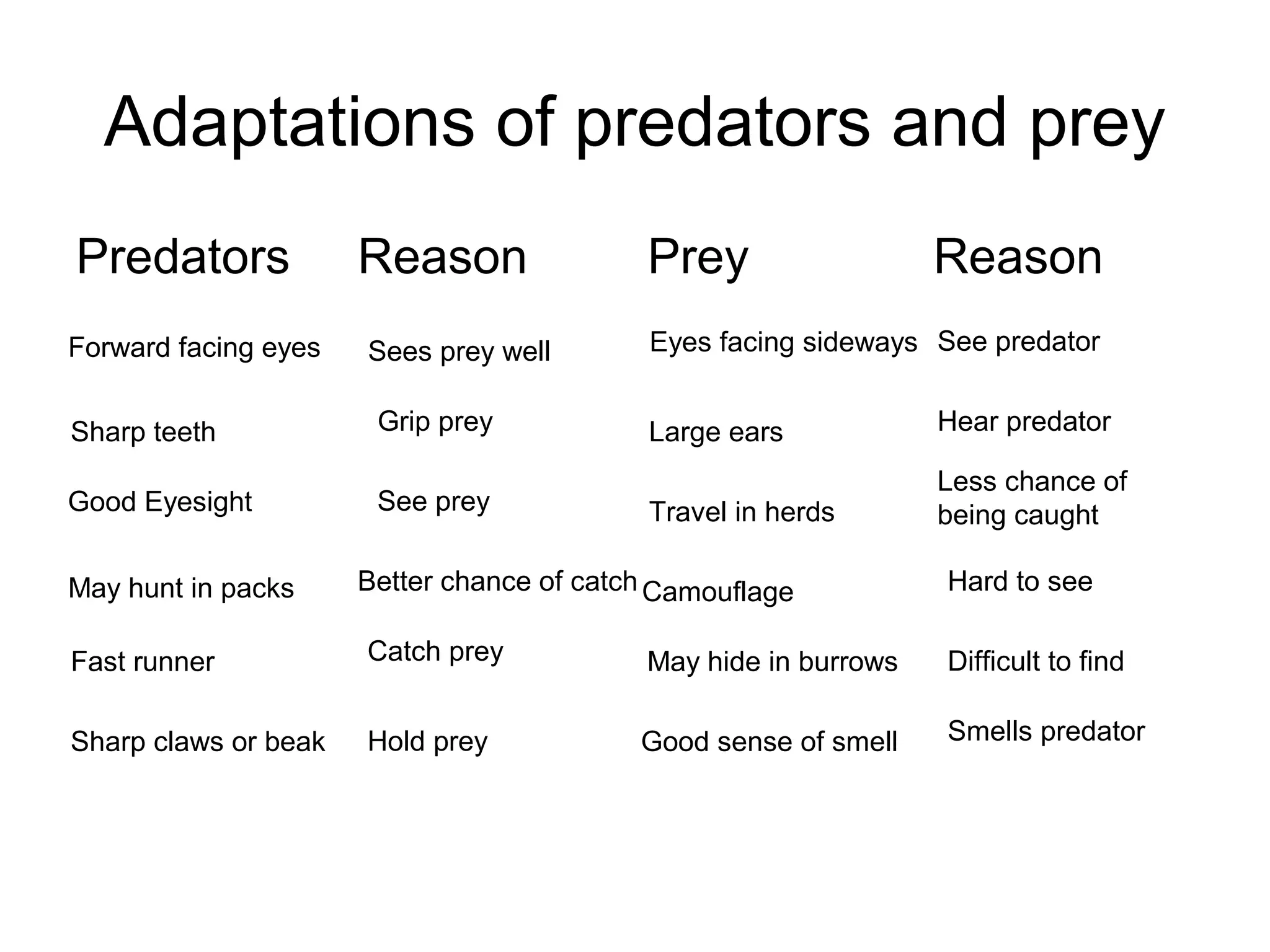 Adaptations of predators and prey
Predators Reason Prey Reason
Forward facing eyes Eyes facing sideways
Sharp teeth Large ears
Good Eyesight Travel in herds
May hunt in packs Camouflage
Fast runner May hide in burrows
Sharp claws or beak Good sense of smell
Sees prey well
Grip prey
See prey
Better chance of catch
Catch prey
Hold prey
See predator
Hear predator
Less chance of
being caught
Hard to see
Difficult to find
Smells predator
 
