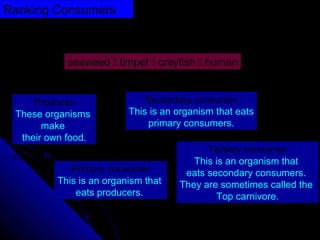 Ranking Consumers
We can use a food chain to group organisms in another way:
seaweed  limpet  crayfish  human
Producer
These organisms
make
their own food.
Primary consumer
This is an organism that
eats producers.
Secondary consumer
This is an organism that eats
primary consumers.
Tertiary consumer
This is an organism that
eats secondary consumers.
They are sometimes called the
Top carnivore.
 