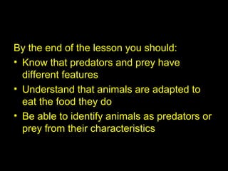 Learning Objectives
By the end of the lesson you should:
• Know that predators and prey have
different features
• Understand that animals are adapted to
eat the food they do
• Be able to identify animals as predators or
prey from their characteristics
 