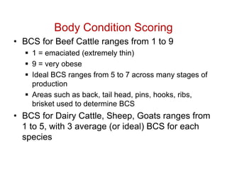 L5 Principles of Farm Animal Management.pptx