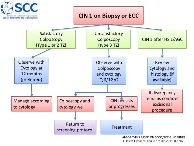 4 prof james bently management guidelines 2014