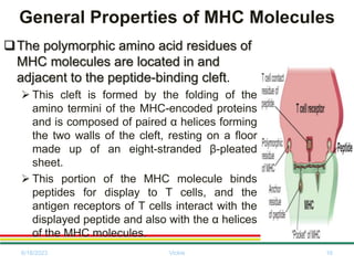 General Properties of MHC Molecules
The polymorphic amino acid residues of
MHC molecules are located in and
adjacent to the peptide-binding cleft.
 This cleft is formed by the folding of the
amino termini of the MHC-encoded proteins
and is composed of paired α helices forming
the two walls of the cleft, resting on a floor
made up of an eight-stranded β-pleated
sheet.
 This portion of the MHC molecule binds
peptides for display to T cells, and the
antigen receptors of T cells interact with the
displayed peptide and also with the α helices
of the MHC molecules.
6/18/2023 Vickie 16
 