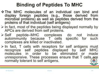 Binding of Peptides To MHC
The MHC molecules of an individual can bind and
display foreign peptides (e.g., those derived from
microbial proteins) as well as peptides derived from the
proteins of that individual (self antigens)
 In fact, most of the peptides being displayed normally by
APCs are derived from self proteins.
 Self peptide–MHC complexes do not induce
autoimmunity because T cells specific for such
complexes are killed or inactivated.
 In fact, T cells with receptors for self antigens must
recognize self peptides displayed by self MHC
molecules in order to be eliminated or made
unresponsive. These processes ensure that T cells are
normally tolerant to self antigens.
6/18/2023 Vickie 34
 