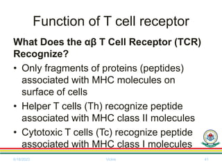 Function of T cell receptor
What Does the αβ T Cell Receptor (TCR)
Recognize?
• Only fragments of proteins (peptides)
associated with MHC molecules on
surface of cells
• Helper T cells (Th) recognize peptide
associated with MHC class II molecules
• Cytotoxic T cells (Tc) recognize peptide
associated with MHC class I molecules
6/18/2023 Vickie 41
 