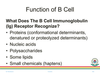 Function of B Cell
What Does The B Cell Immunoglobulin
(Ig) Receptor Recognize?
• Proteins (conformational determinants,
denatured or proteolyzed determinants)
• Nucleic acids
• Polysaccharides
• Some lipids
• Small chemicals (haptens)
6/18/2023 Vickie 48
 