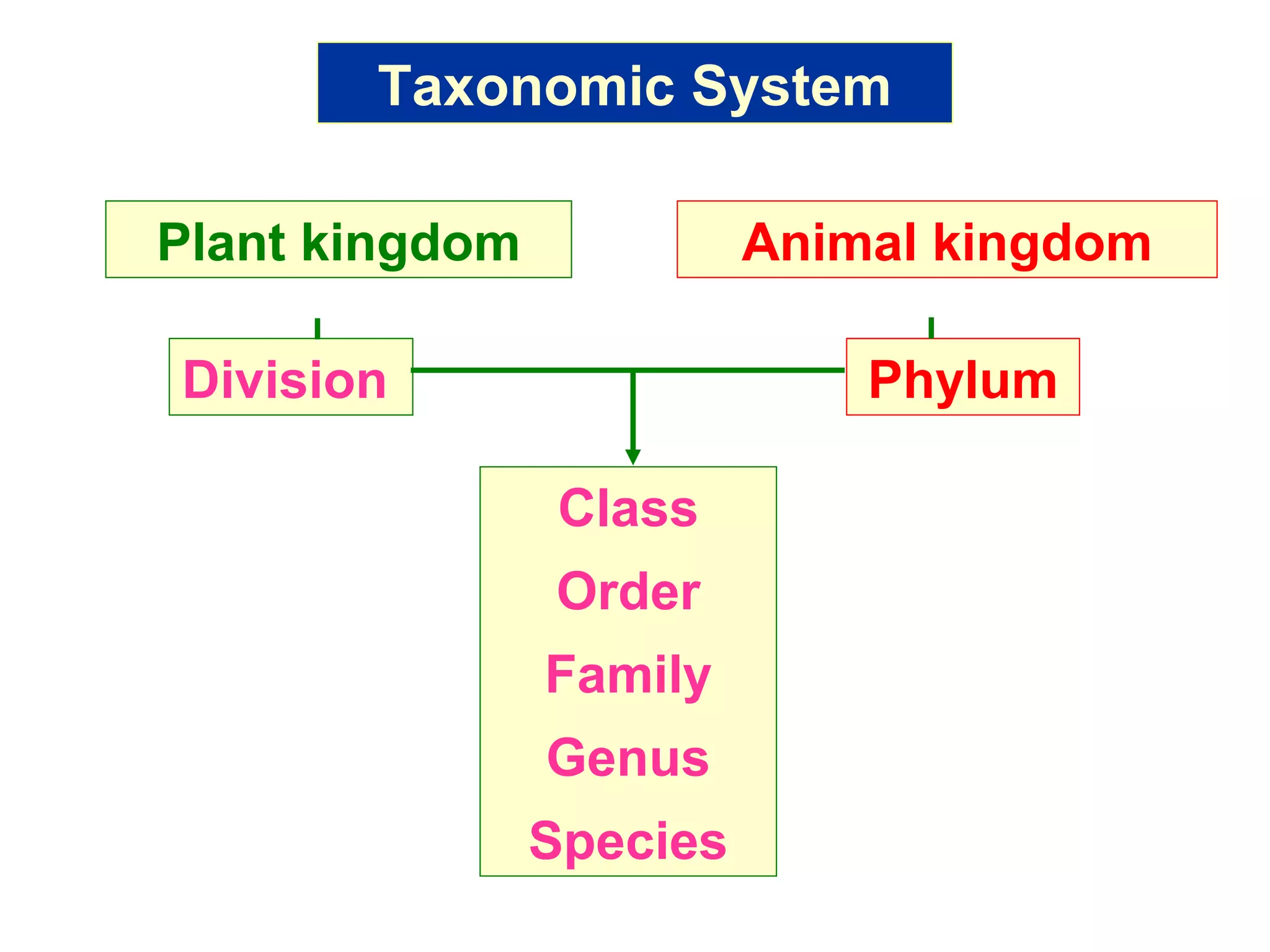 Plant taxonomy | PPT