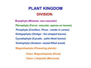 Plant Taxonomy Plant Taxonomy