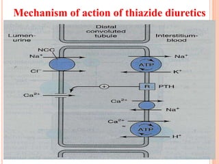 Fast Work Diuretics L6-diuretics final-2014-k sparing diuretics.ppt