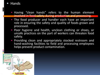GOOD
MANUFACTURING
PRACTICES
 Hands
 Having “clean hands” refers to the human element
involved in food safety during production and processing.
 The food producer and handler each have an important
role in ensuring the safety and quality of foods grown and
processed.
 Poor hygiene and health, unclean clothing or shoes, or
unsafe practices on the part of workers can threaten food
safety.
 Providing clean and appropriately stocked restroom and
hand-washing facilities to field and processing employees
helps prevent product contamination.
 