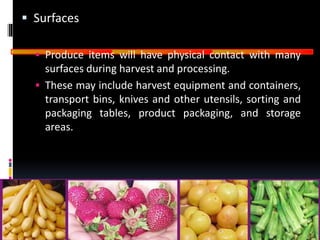 GOOD
MANUFACTURING
PRACTICES
 Surfaces
 Produce items will have physical contact with many
surfaces during harvest and processing.
 These may include harvest equipment and containers,
transport bins, knives and other utensils, sorting and
packaging tables, product packaging, and storage
areas.
 