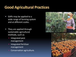 Good Agricultural Practices
 GAPs may be applied to a
wide range of farming system
and at different scales.
 They are applied through
sustainable agricultural
methods, such as
 Integrated pest
management
 Integrated fertilizer
management
 Conservation agriculture.
 