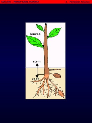 AGR 3506  :  PRINSIP SAINS TANAMAN   2.  Pembiakan Tanaman 