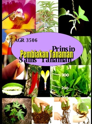 AGR 3506   Prinsip Sains Tanaman   Pembiakan Tanaman 