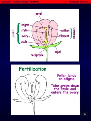 03 AGR 3506  :  PRINSIP SAINS TANAMAN   2.  Pembiakan Tanaman 