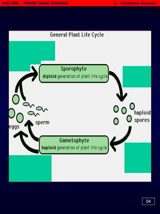 AGR 3506  :  PRINSIP SAINS TANAMAN   2.  Pembiakan Tanaman 04 