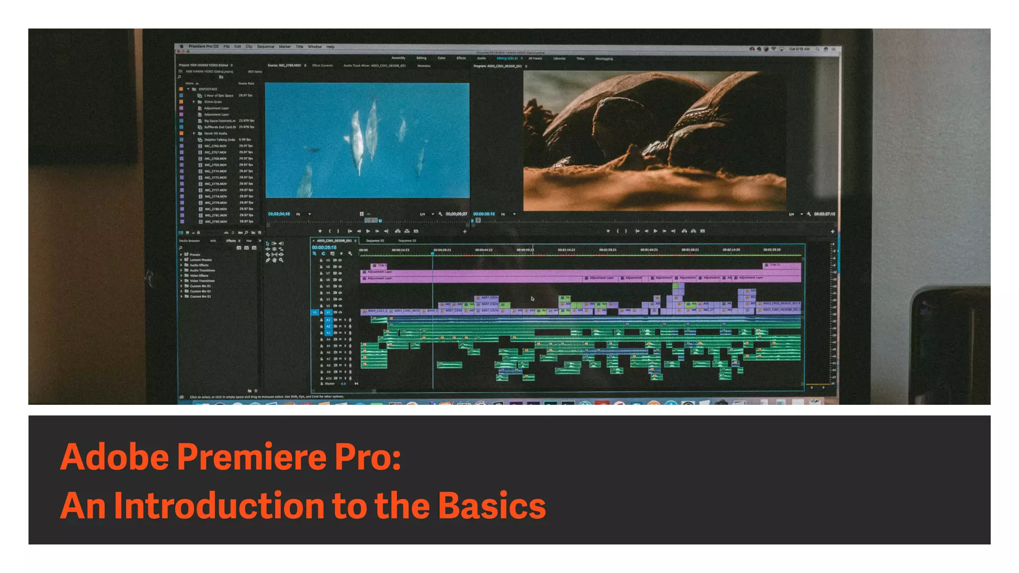Adobe Premiere Pro:
An Introduction to the Basics
 
