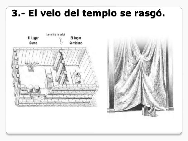Lección # 69 - ECF - Etapa 1 - Ampliada