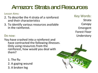 Amazon: Strata and Resources ,[object Object],[object Object],[object Object],[object Object],[object Object],[object Object],[object Object],[object Object],Key Words: Strata Canopy Emergent Forest Floor Understory 