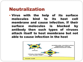 Neutralisation Virus L6 Antibody ppt immuno biology structure function types | PPTX